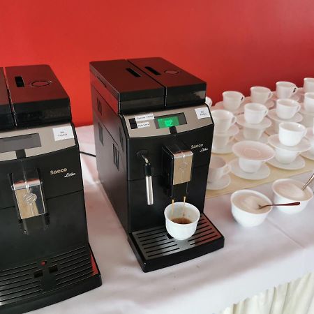 Palac Koronny Noclegi & Wypoczynek Wodzislaw Ngoại thất bức ảnh