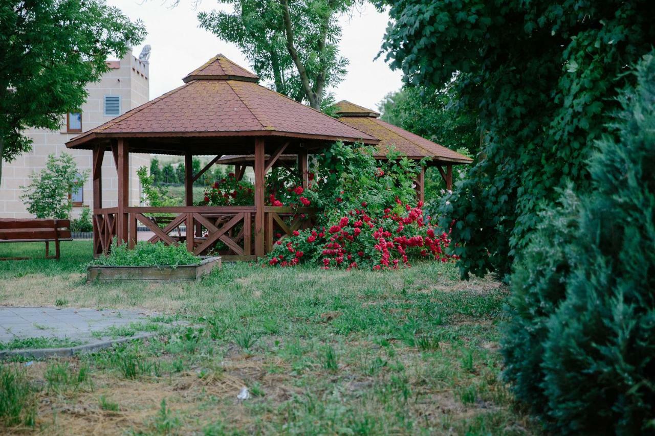 Palac Koronny Noclegi & Wypoczynek Wodzislaw Ngoại thất bức ảnh